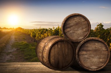 Tuscany, İtalya 'da üzüm bağında kırmızı şarap