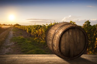 Tuscany, İtalya 'da üzüm bağında kırmızı şarap