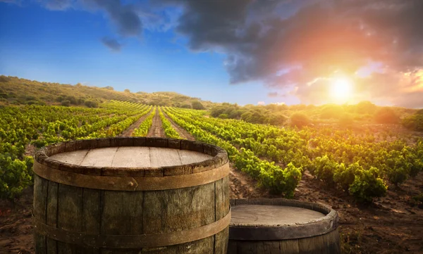 Vino tinto con barril en viñedo verde Toscana, Italia — Foto de Stock