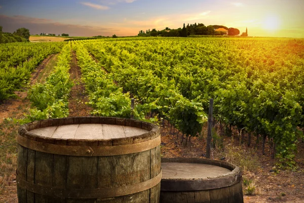 Vino tinto con barril en viñedo verde Toscana, Italia — Foto de Stock