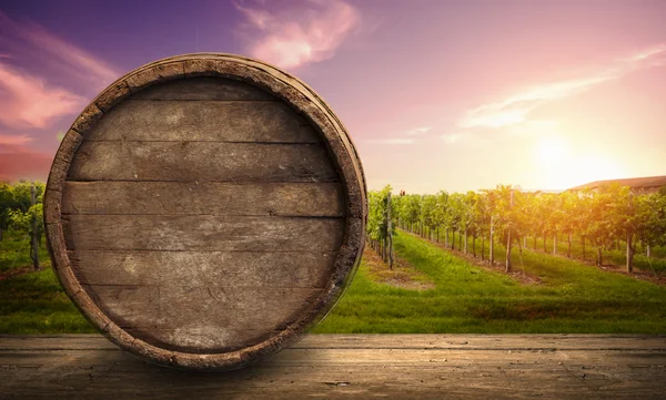 緑のトスカーナ州のブドウ畑で樽付きの赤ワイン,イタリア — ストック写真