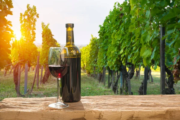Fehér bor hordóval a szőlőültetvényen Chianti, Toszkána, Olaszország — Stock Fotó