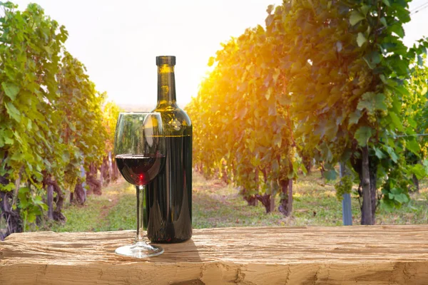 White wine with barrel on vineyard in Chianti, Tuscany, Italy Stock Image