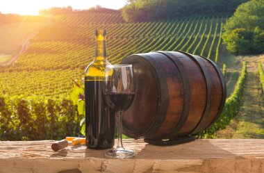 Chianti, Toskana, İtalya 'da üzüm bağında beyaz şarap