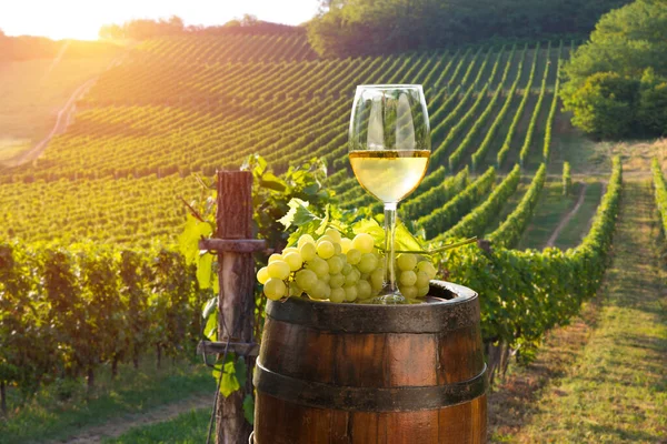 Vinho branco com barril na vinha em Chianti, Toscana, Itália — Fotografia de Stock