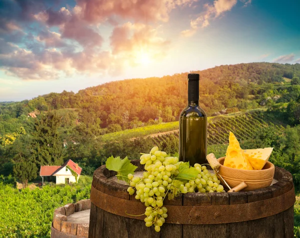 Vineyeard Chianti Toskánsko Itálie Slavná Krajina — Stock fotografie