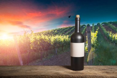 Chianti, Toskana, İtalya 'da üzüm bağında beyaz şarap