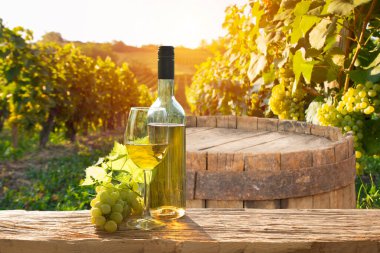 Tahta masada çeşitli peynirler servis ediliyor. Arka planda İtalyan Toscana manzarası. Geleneksel Fransız ve İtalyan el yapımı peynir parçaları. Metin için kopyalama alanı