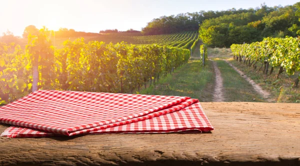 Виноробному Заводі Тоскані Провінція Чіанті Смаком Вина — стокове фото