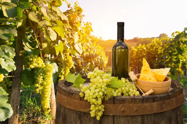 Paisaje verde de viñedo toscano y escritorio — Foto de Stock