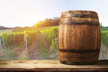 Tuscany, İtalya 'da üzüm bağında kırmızı şarap