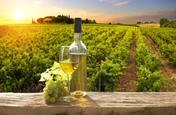 Rotwein Mit Fass Auf Weinberg Der Grünen Toskana Italien Stockbild