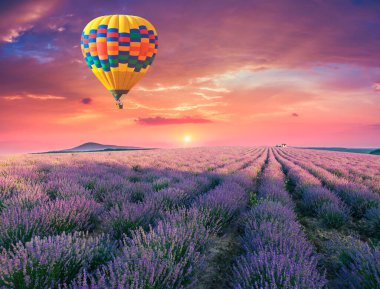 Lavanta tarlası yaz günbatımı manzarası Valenzo yakınlarında. Provence, Fransa