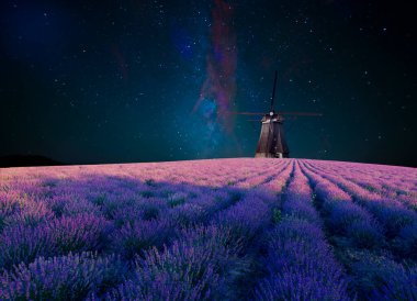 Lavanta tarlası yaz günbatımı manzarası Valenzo yakınlarında. Provence, Fransa