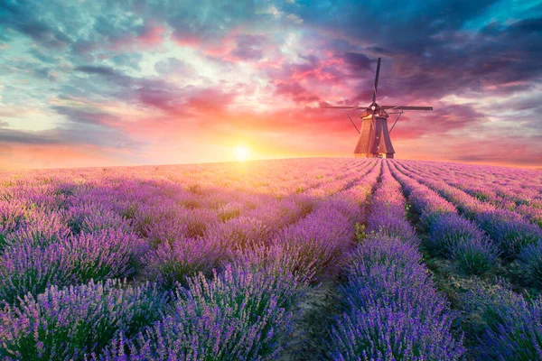 Lavendel Felt Sommersolnedgangslandskap Nær Valensole Provence Frankrike – stockfoto
