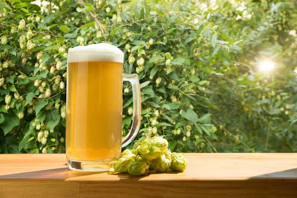 Ein Glas Helles Bier Einer Dunklen Kneipe — Stockfoto