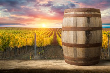 Tuscany, İtalya 'da üzüm bağında kırmızı şarap