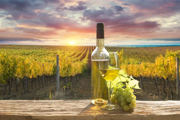 Vin rouge avec tonneau sur vignoble en Toscane verte, Italie — Photo