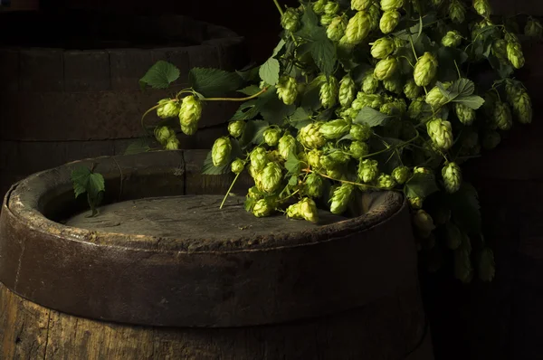 Still Life com um barril de cerveja — Fotografia de Stock