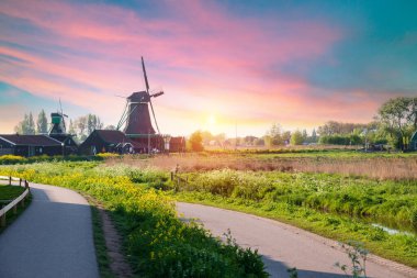 Rüzgâr değirmenine giden dolambaçlı bir yol. Çiçekli çayırları ve manikürlü çayırları var. Sıcak güneş ışığı banyosu geleneksel.