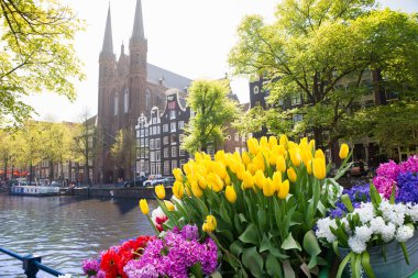 Hollanda, Amsterdam 'daki eski tarihi evler ve ağaçların cepheleri. Yüksek kalite fotoğraf