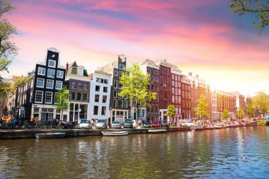 Hollanda, Amsterdam 'daki eski tarihi evler ve ağaçların cepheleri. Yüksek kalite fotoğraf