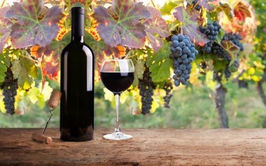 Kırsal ahşap bir masa üzerinde üzüm sepetli kırmızı ve beyaz şarap şişeleri, resim gibi bir üzüm bağına karşı dizilmiş. Şarap severler ve kırsal ortam için mükemmel bir manzara. Yüksek kalite fotoğraf