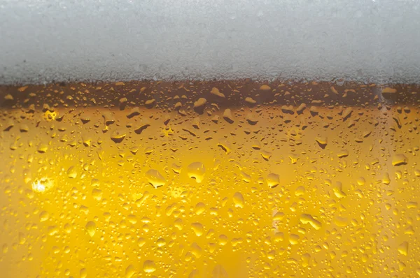 Beer bubbles in the high magnification and close-up.