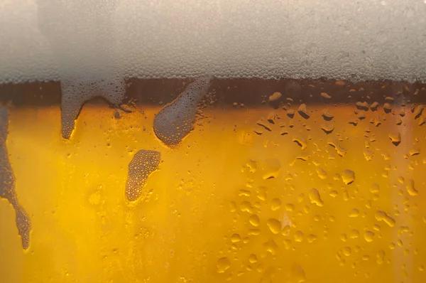 Druppels op vers geschonken bier. — Stockfoto