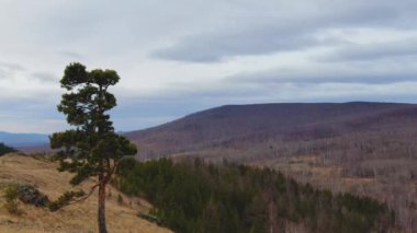 Güney Ural. Rusya, 8 Kasım 2020. Turistler ve arabalar dağların tepesinde