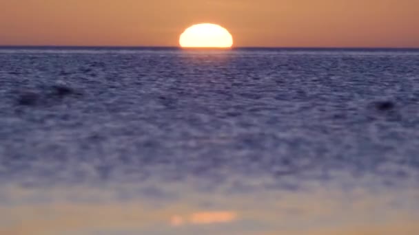 Sonnenuntergang ist die Sonne am Meer groß, ein Vogelschwarm fliegt an der Sonne vorbei — Stockvideo