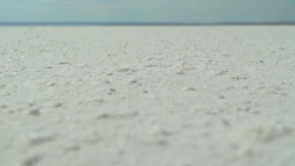 Sól na powierzchni ziemi, słone bagna, opuszczona biała ziemia, dno wyschniętego morza — Wideo stockowe