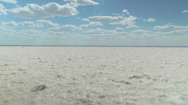 Sal na superfície da terra, pântano salgado, terra branca deserta, o fundo de um mar seco — Vídeo de Stock