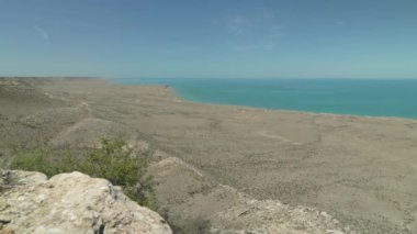 Yılan taşın altında sürünüyor.