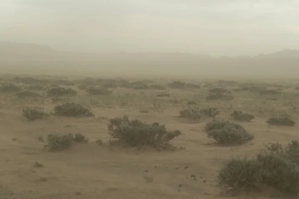Tempête de sable dans le désert de gobi en mongolie — Photo