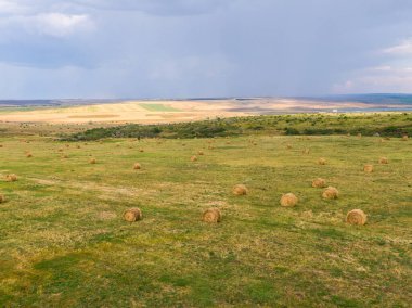 Kırsal manzaralı bir arazide drone 'la çekilmiş samanların içinde.