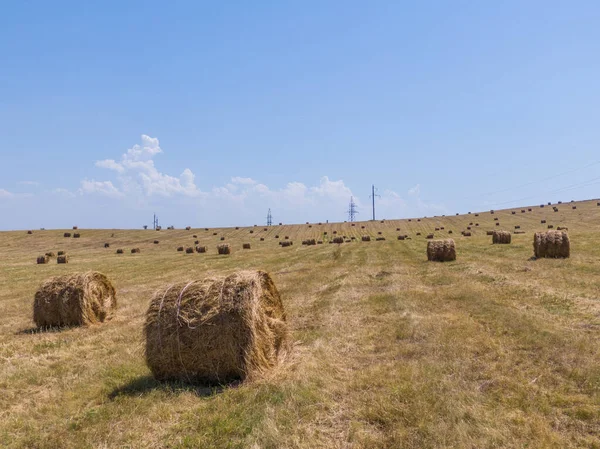 hay in rolls on a rural scenic field with a drone filmed