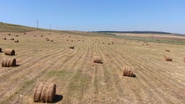 Heno en rollos en un campo paisajístico rural con un dron filmado — Vídeos de Stock