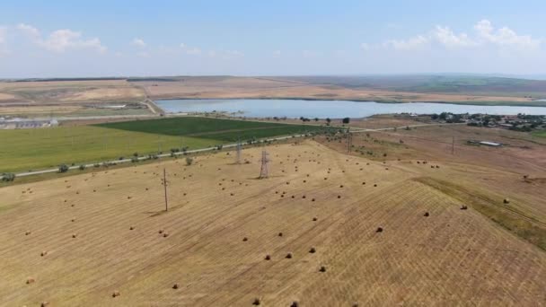 Campos agrícolas desde una vista de aves, cosechando trigo con cosechadoras — Vídeo de stock