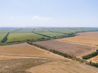 Kuş bakışı tarlalar, hasatla buğday hasadı.