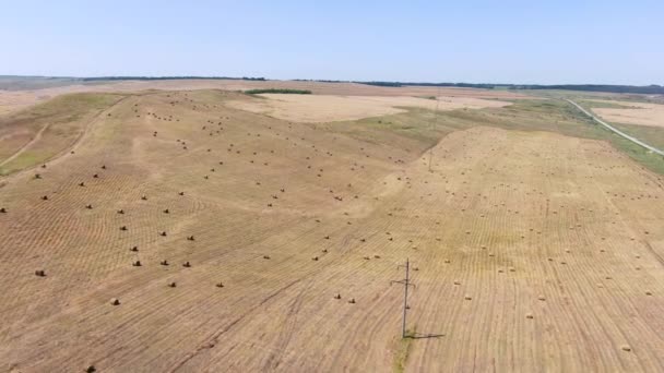 Heno en rollos en un campo paisajístico rural con un dron filmado — Vídeos de Stock