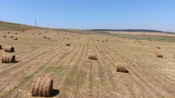 Feno em rolos em um campo cênico rural com um drone filmado — Vídeo de Stock