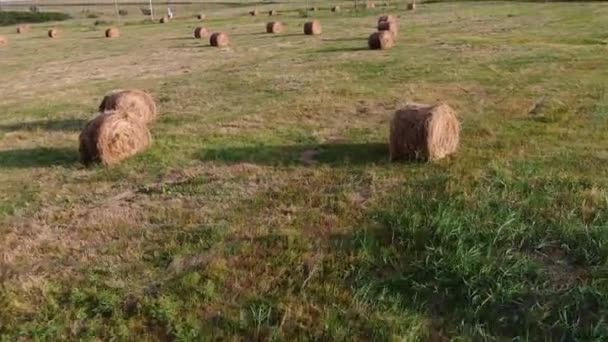 Hermoso paisaje rural con rollos de heno en el campo de trigo agrícola — Vídeos de Stock