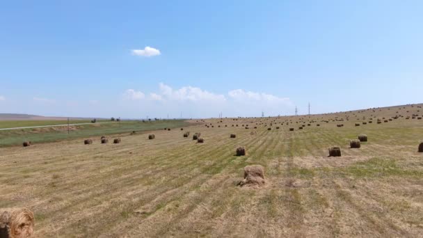 Beautiful rural landscape with rolls of hay on agricultural wheat field — Stock Video