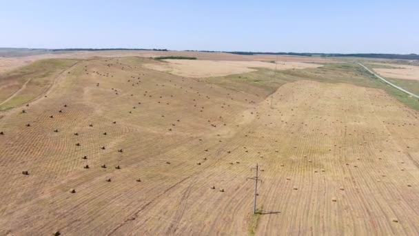 Красивый сельский пейзаж с рулонами сена на сельскохозяйственном пшеничном поле — стоковое видео