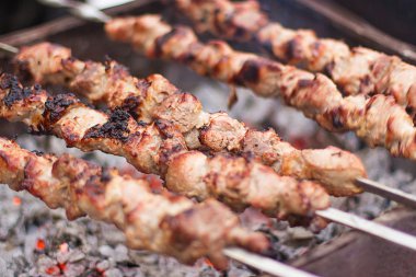 Piknik üzerinde lezzetli Kebab