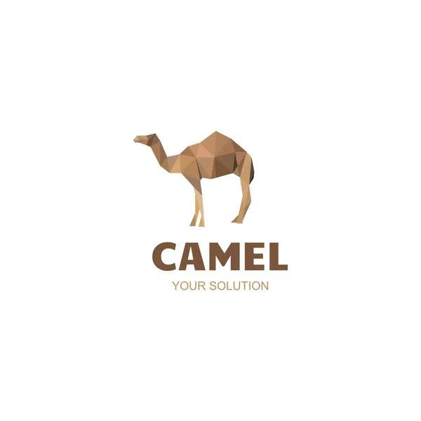 Camel logo company — Stock Vector