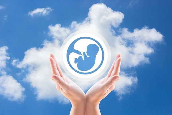 Эмбриональные руки — стоковое фото