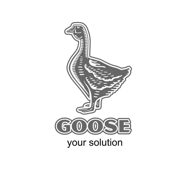 Logo goose illustration — Stock Vector