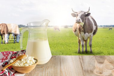 Süt ve peynir meadows inek ile bir arka plan üzerinde